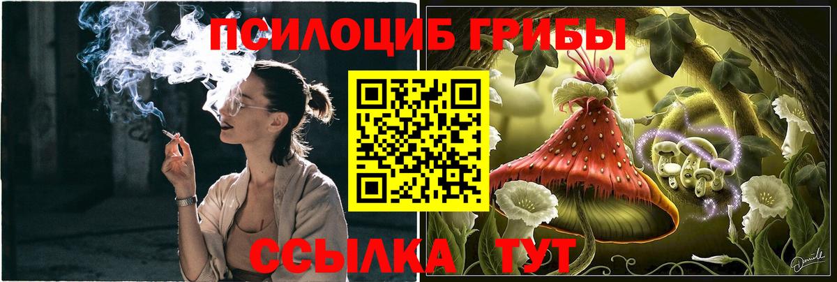 Москва  Галлюциногенные грибы Psilocybine cubensis  Вход с VPN 